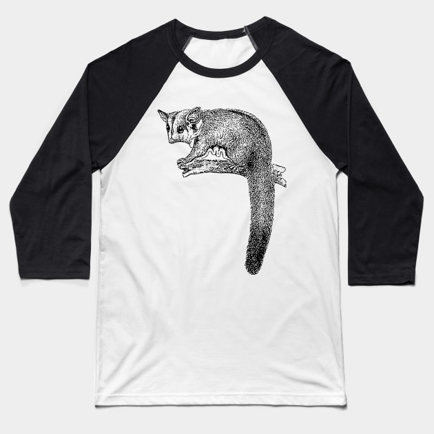 Sugar Glider Baseball T-Shirt by scdesigns